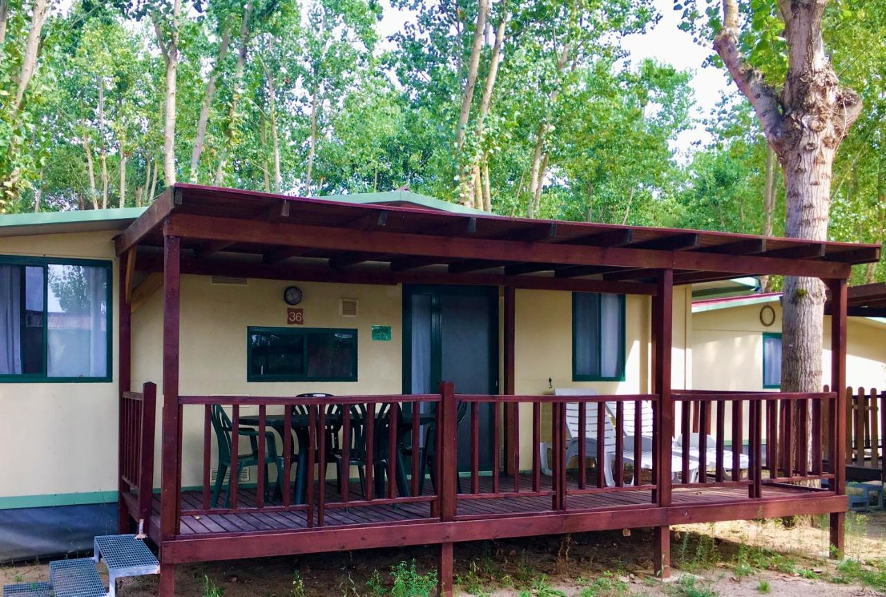 Camping Village Punta Navaccia Tuoro sul Trasimeno Εξωτερικό φωτογραφία