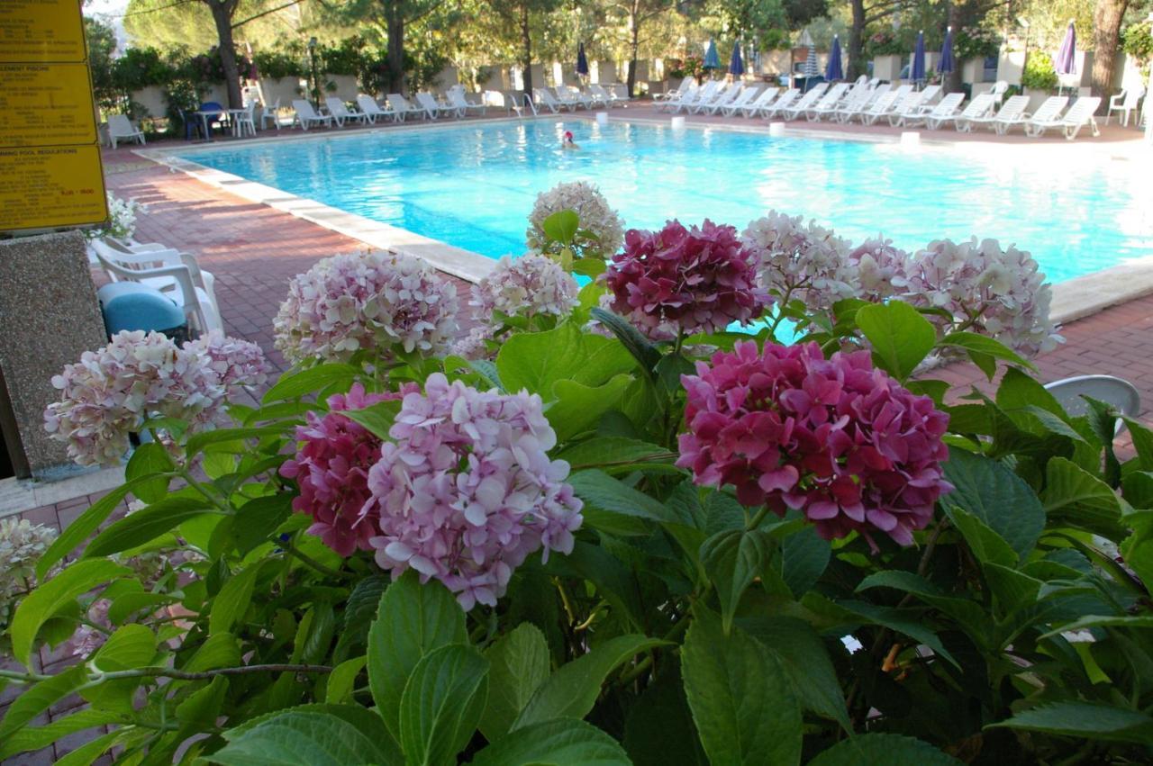Camping Village Punta Navaccia Tuoro sul Trasimeno Εξωτερικό φωτογραφία